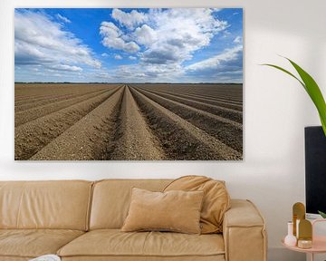 Frisch gepflügtes Kartoffelfeld mit geradlinigem Muster und abnehmender Perspektive in Flevoland an  von Sjoerd van der Wal Fotografie