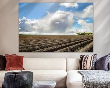 Champ de semis de pommes de terre avec un motif en ligne droite pendant une belle journée de printem sur Sjoerd van der Wal Photographie