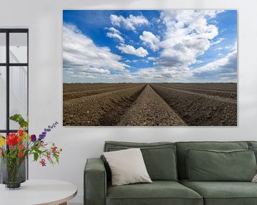 Frisch gepflügtes Kartoffelfeld mit geradlinigem Muster und abnehmender Perspektive in Flevoland an  von Sjoerd van der Wal Fotografie