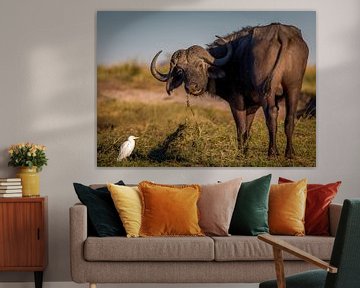 afrikaanse buffel van Ed Dorrestein