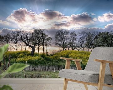 Sonnenuntergang von ir dimensions