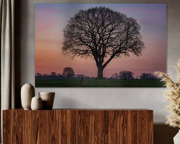 Baum des Lebens von Photo Wall Decoration