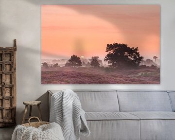 Atmosphärischer Sonnenaufgang auf dem blühenden Heidekraut von Karla Leeftink
