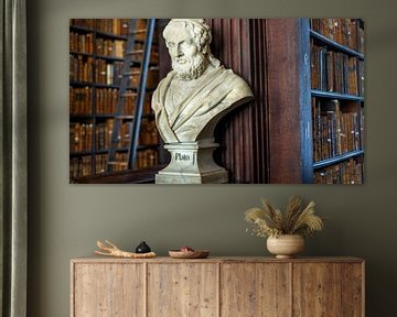 Buste van Plato Trinity College Bibliotheek van Terry De roode