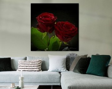 Twee rode rozen van Torfinn Johannessen