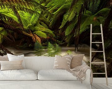 Australië Varen - Paradijs - Tasmanië Regenwoud