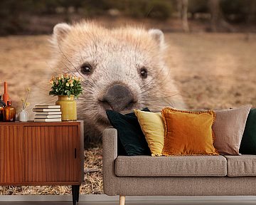 Wombat - Knuffel - Wombat - Australië Wild dier