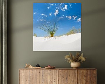 White Sands Impression