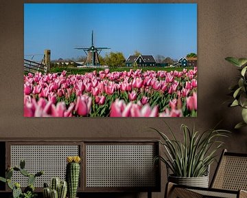 Tulpen en de Molen van Arno Prijs