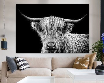 La vache Highlander en noir et blanc