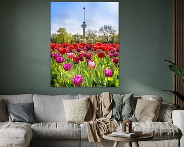 Euromast with tulips by Annette Roijaards