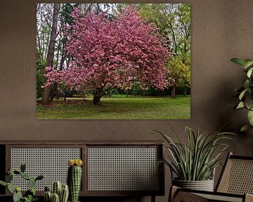 Decorative cherry tree
