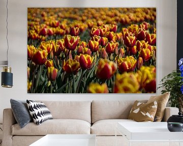 Tulipfield sur Ingrid Mooij