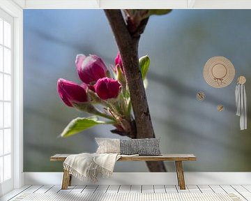 Dark pink Elstar apple blossom by Jolanda de Jong-Jansen