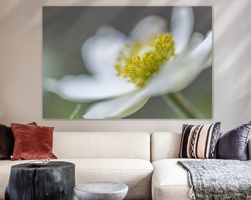 couronne d'une fleur de printemps sur Tania Perneel