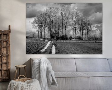 landschap bomen en donkere wolken