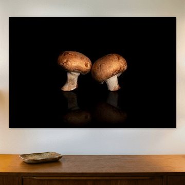 Pilz-Duo von Koen Pletinckx