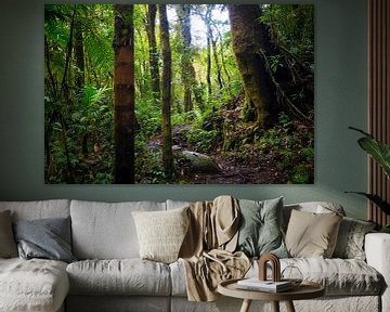 Groene jungle in Panama van Michiel Dros