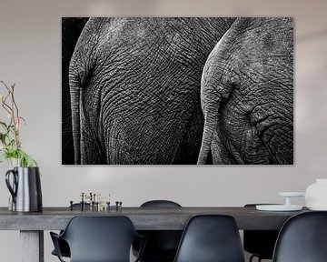 Elefanten von Ed Dorrestein