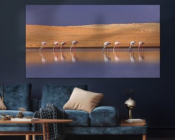 Flamingos entlang des Wassers in Namibia in der Nähe von Whale Bay. von Claudio Duarte