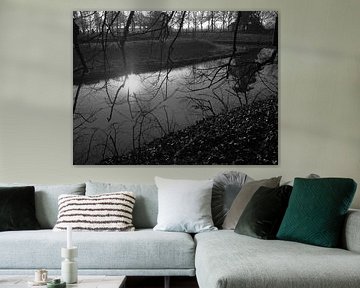 Sunlight on the water