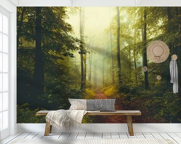 Mystical forest in the mist by Dirk Wüstenhagen