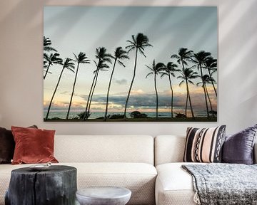 Les palmiers de Kauai