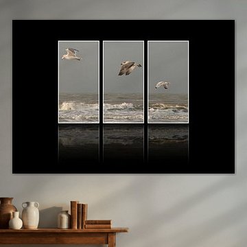 Drieluik meeuwen aan zee by Jackie Fotografie