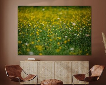 meadow flowers by Huib Vintges