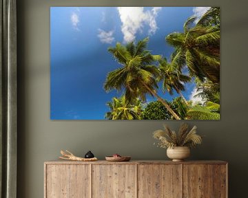Palmbomen. Indische Oceaan. Seychellen van Dmitriy Koublitskiy