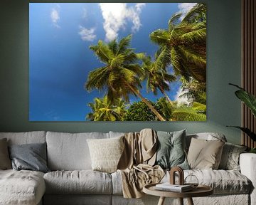 Palm trees. Indian Ocean. Seychelles by Dmitriy Koublitskiy