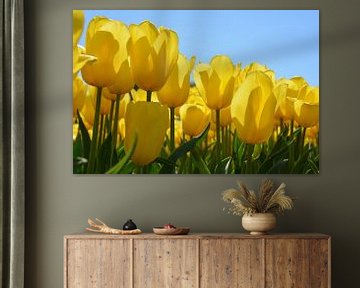 Gele tulpen tegen blauwe lucht van My Footprints