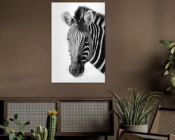 Zebra von Denis Feiner