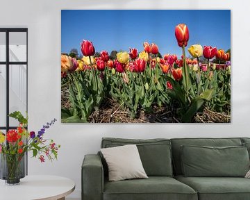 Tulpen van Hélène Wiesenhaan