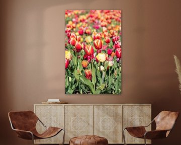 Gekleurde tulpen van Hélène Wiesenhaan