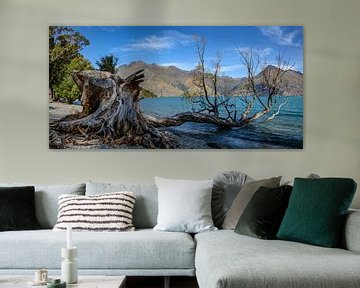 Tree lake by Ton de Koning
