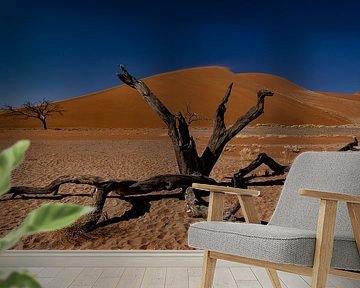 langs de weg in namibie2