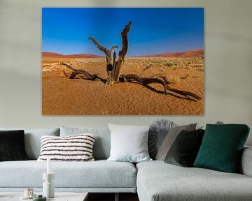 along the way in namibia by Ed Dorrestein