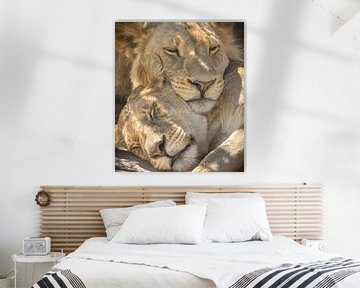 sleeping lions by Ed Dorrestein