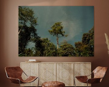 Eenzame boom in jungle van MM Imageworks