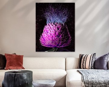 Blossfeldt thistle by GoStijn