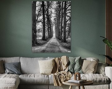 Way to the light