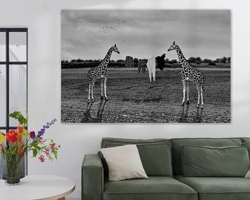 Drogen van wasgoed in Afrika - zwart-wit van Puravida - Fotografie en fotokunst