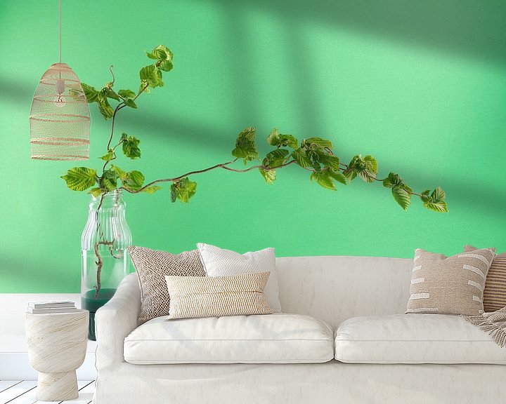Sfeerimpressie behang: moderne stilleven groen van Anita Visschers