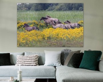 Wild horses by Bas Groenendijk