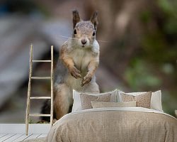 Voorbeeld van het werk in een kamer
