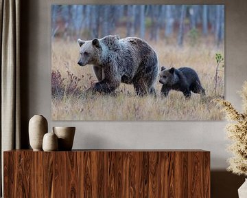 Brown bear with young by Merijn Loch