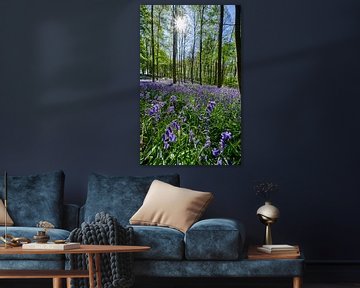 bloeiende bluebells in het bos van Jürgen Ritterbach