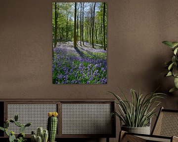 flowering bluebells in the woods by Jürgen Ritterbach