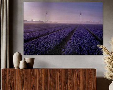 Purple mills by peterheinspictures